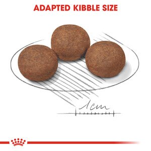 ROYAL CANIN® Medium Puppy 10kg